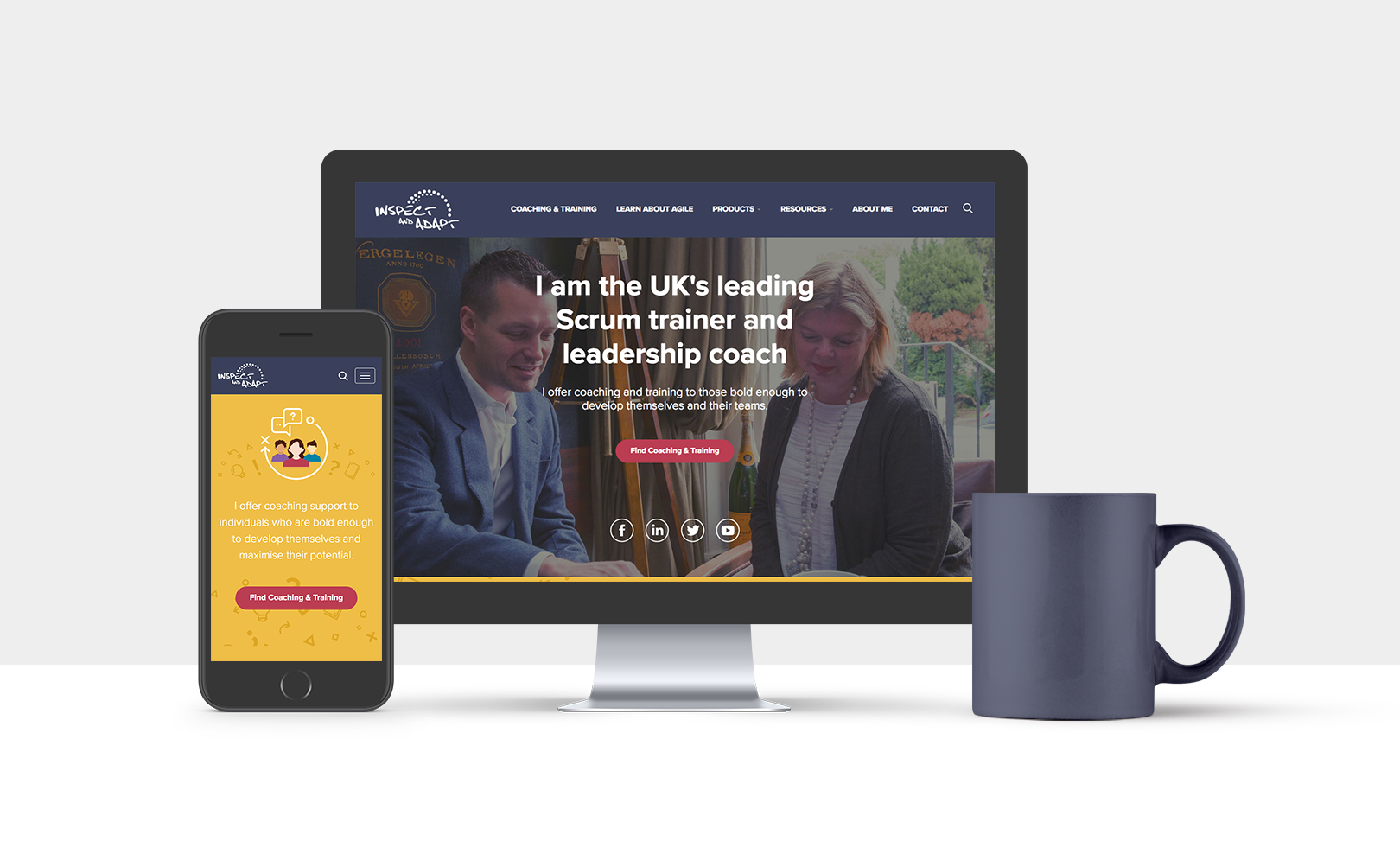 Inpect and Adapt website