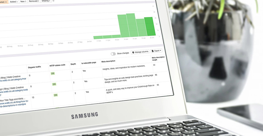 website audit on a laptop screen