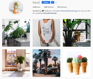 The Sill on Instagram